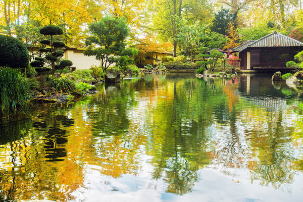 japanischer garten teich und gebäude für teezeremonie. - kaiserslautern stock-fotos und bilder