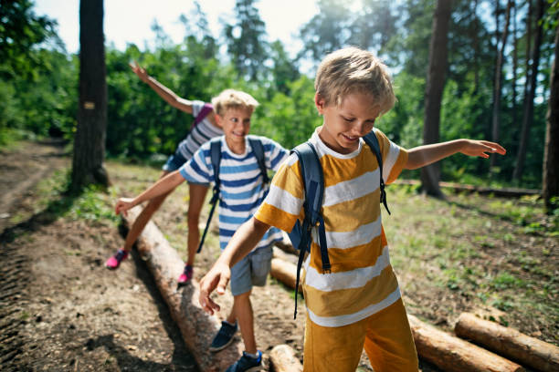 Little hikers walking on a tree trunks  in forest