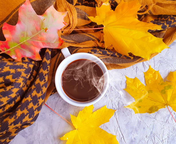 istock cup of coffee autumn leaves on concrete background 1180074958