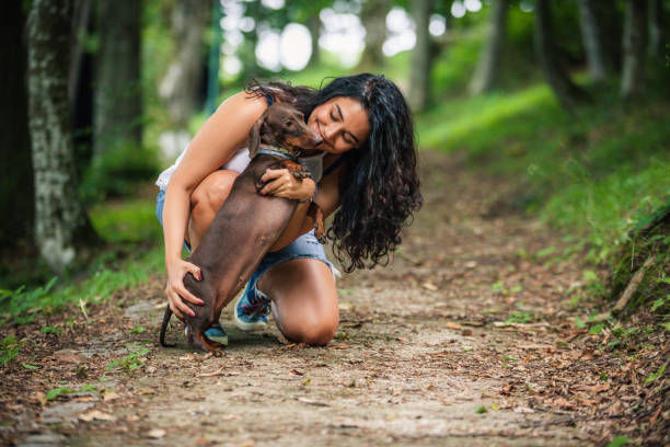 개와 놀고있는 젊은 여자 - pet toy dachshund dog toy 뉴스 사진 이미지