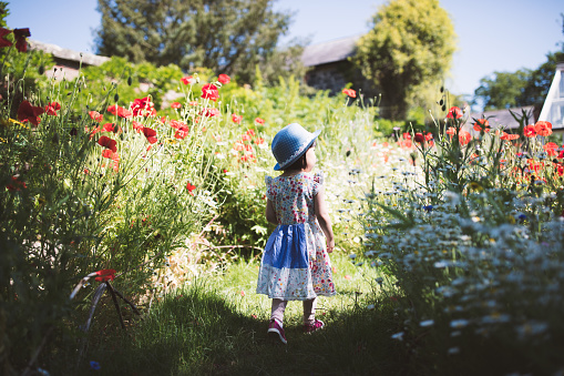 toddler girl playing in  summer  garden