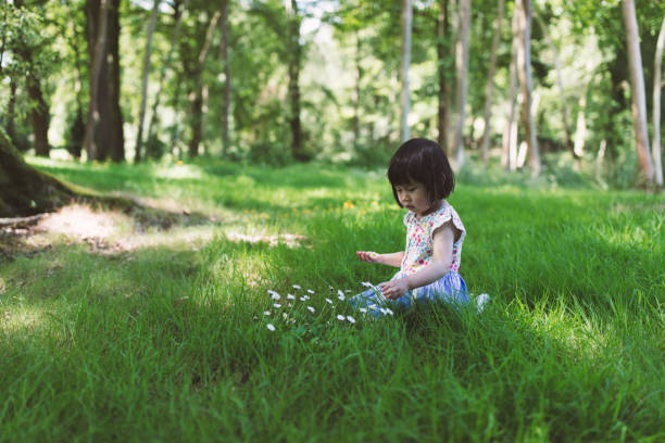 toddler girl playing in  summer forest park