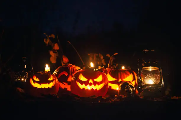 Photo of Halloween Jack-o-Lantern Pumpkins