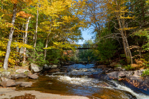 Fall Colors on Stubb's Falls of Arrowhead Provincial Park, Huntsville, Ontario, Canada. Ontario, Canada. huntsville ontario stock pictures, royalty-free photos & images
