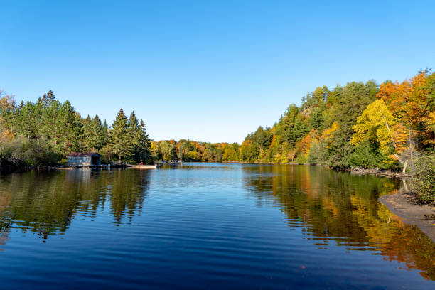 istock Fall Colors on Huntsville, Ontario, Canada. 1180078572
