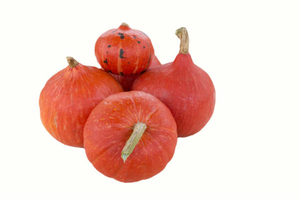 istock Red kuri squash, small pumpkin in front of white background 1180081598