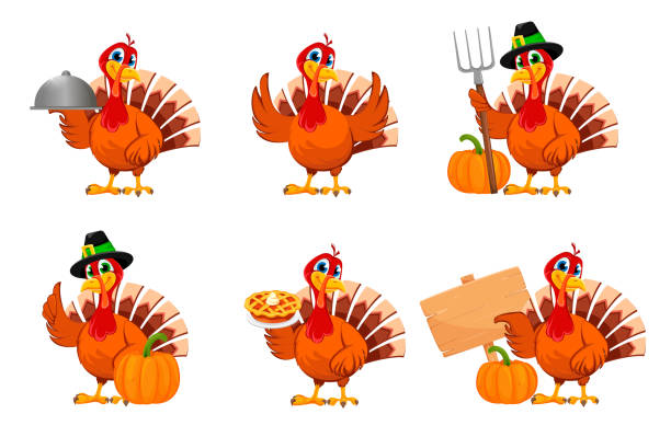 Thanksgiving turkey, set of six poses Happy Thanksgiving, greeting card, poster or flyer for holiday, set of six poses. Thanksgiving turkey. Vector illustration on white background turkey bird stock illustrations