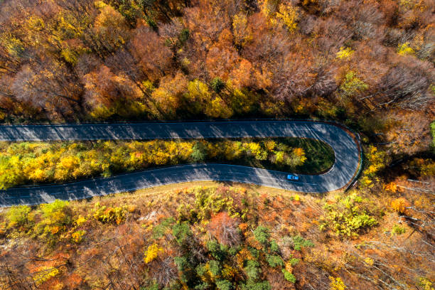 istock Winding Autumn Road, Aerial View 1180082841