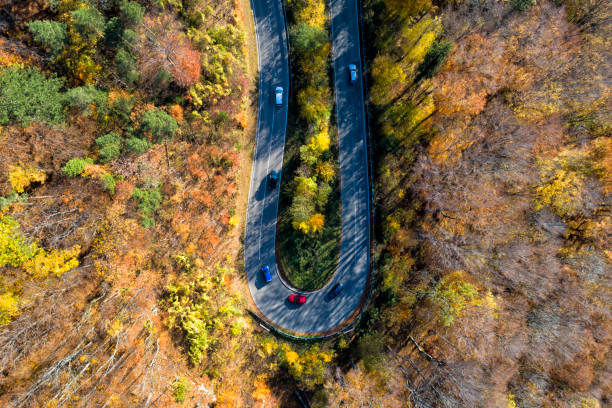 istock Winding Autumn Road, Aerial View 1180083976