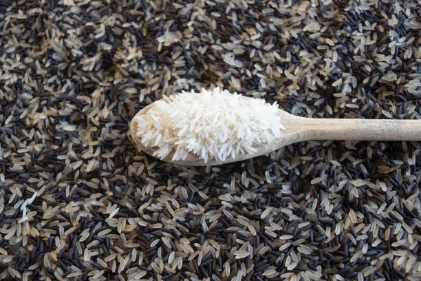 Horrible Disgusting Rice 120+ Terrible Rice Stock Photos, Pictures & Royalty-Free Images - iStock