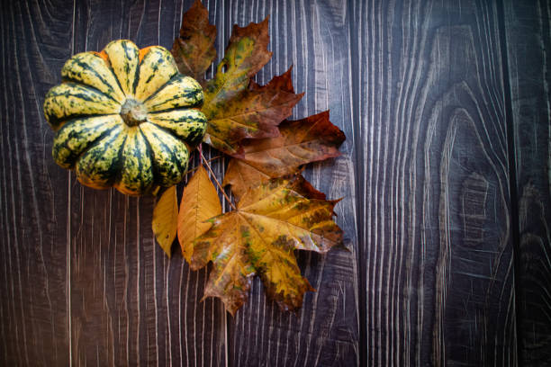orange and brown autumn leaves with a pumpkin on a wooden background. top view and copy space. - sweet food chestnut yellow brown imagens e fotografias de stock