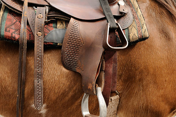 istock Horse with Stirrups and Saddle detail 118009093