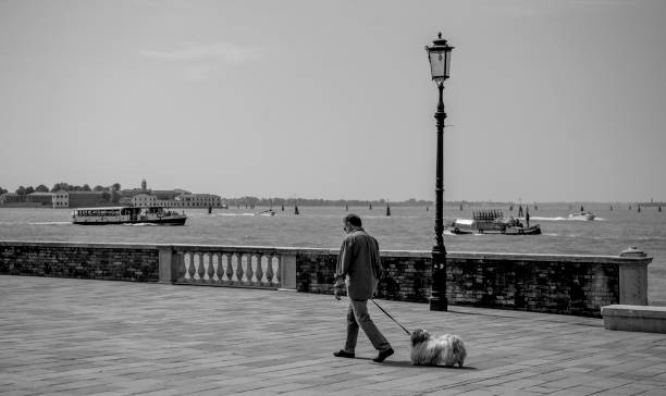 Venice, Italy - June 6th 2024:  Mature woman bracing against a wall because of the uneven cobblestones in a street in the center of the city