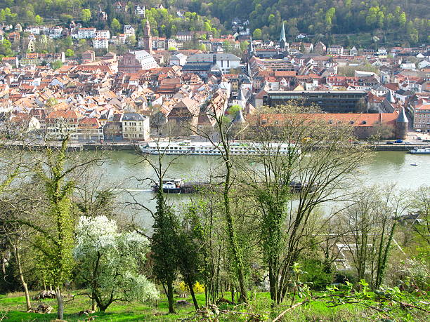 istock Heidelberg and the river Neckar 118009401