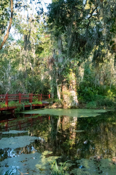 istock South Carolina low country. 1180094791