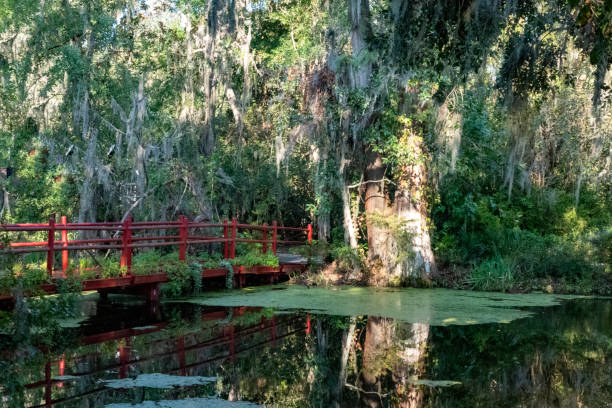 istock South Carolina low country. 1180095017