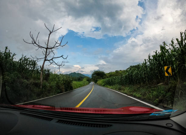 istock Jalisco pet highway aboard a car 1180097534