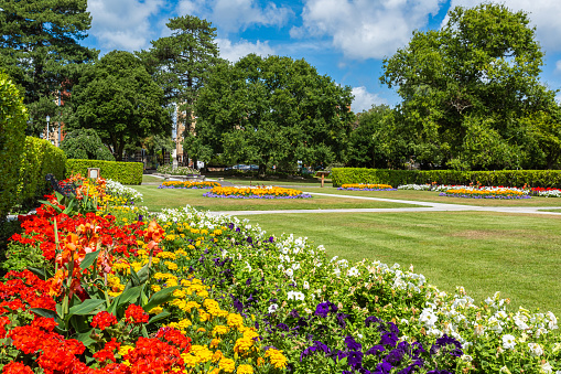 Colour landscape photograph of colourful flower displays installed within Poole park, Dorset, England.