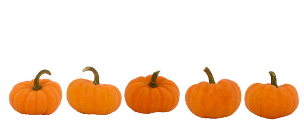 istock Five Halloween Pumpkins isolated on white background. Whole pumpkins from different shape. Banner with pumpkins. Halloween. Fresh orange miniature pumpkins isolated on white background. 1180098085