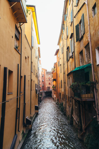 istock Bologna, Italy 1180101517