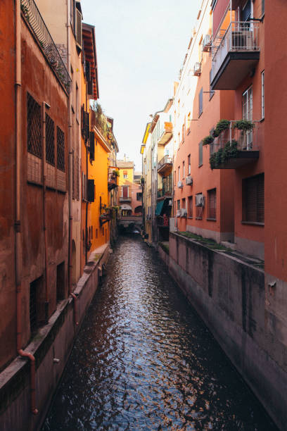 istock Bologna, Italy 1180101625