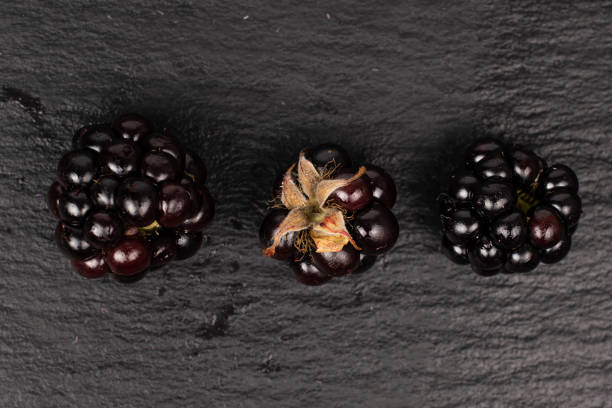 istock Fresh blackberry on grey stone 1180105524