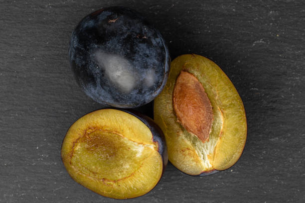istock Fresh purple plum on grey stone 1180107321