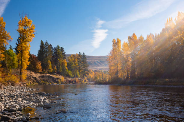 istock Stunning Autumn Colors Explode Along the Methow River in Washington State 1180108386