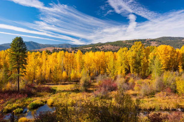 istock Stunning Autumn Colors Explode Along the Methow River in Washington State 1180108391
