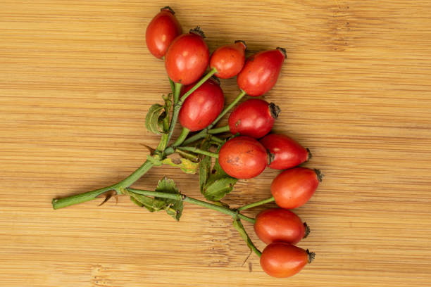 Photo showing a bunch of ripe and ripening orange / red rose hips (fruit / haw / hep) on a cultivated rose bush, growing in a garden and pictured towards the end of summer / early autumn.
