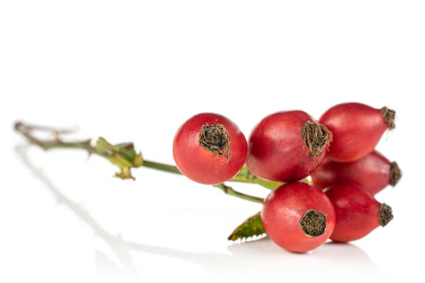 istock Fresh red rosehip isolated on white 1180109321
