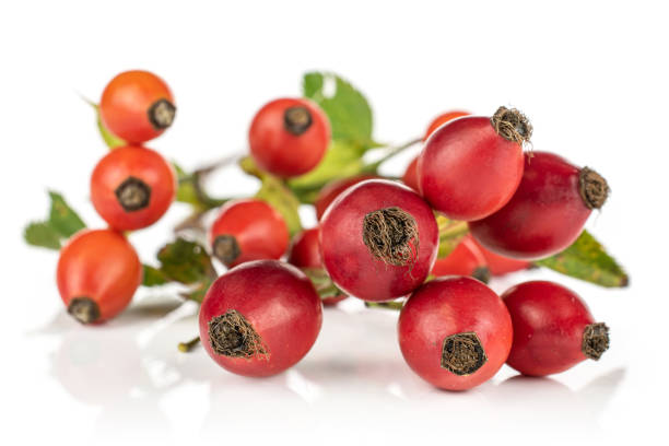 istock Fresh red rosehip isolated on white 1180109336