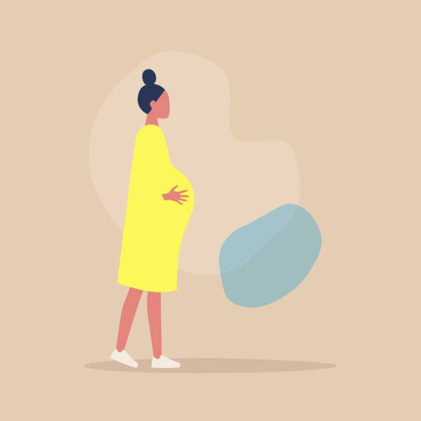 A profile full view of young caucasian pregnant woman touching her belly A profile full view of young caucasian pregnant woman touching her belly pregnant clipart stock illustrations
