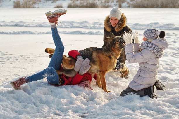 istock To walk the dog 1180119682