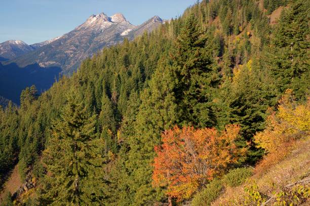 istock Autumn in the Cascades 1180123609