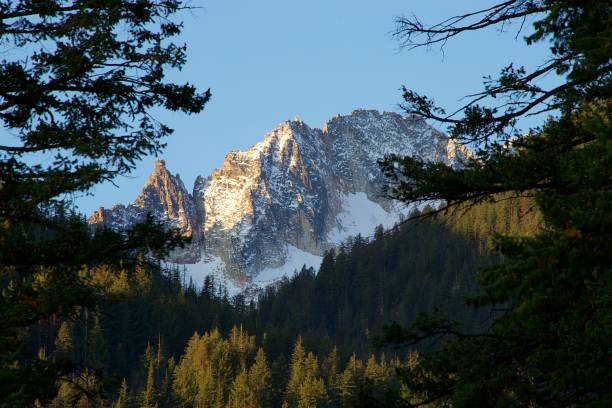 istock Autumn in the Cascades 1180123667