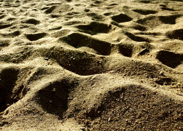 istock Sandy filed in the park 1180125718