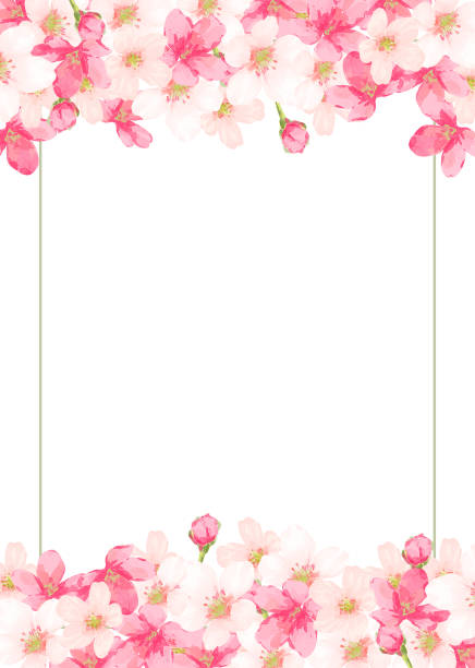 illustrazioni stock, clip art, cartoni animati e icone di tendenza di cornice di fiori di ciliegio (vettore) - flower bed