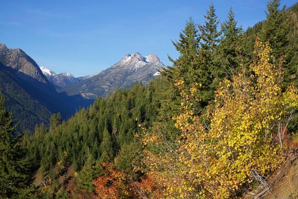 istock Autumn in the Cascades 1180126838