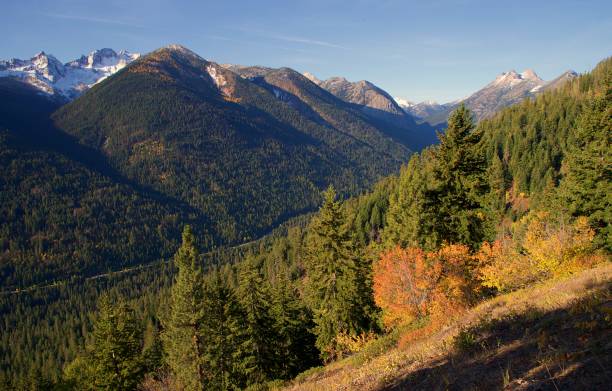 istock Autumn in the Cascades 1180126843