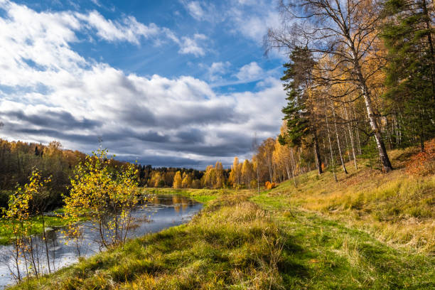 une petite rivière et forêt d'automne avec des feuilles jaunes de bouleau et de beaux nuages. - 18630 photos et images de collection
