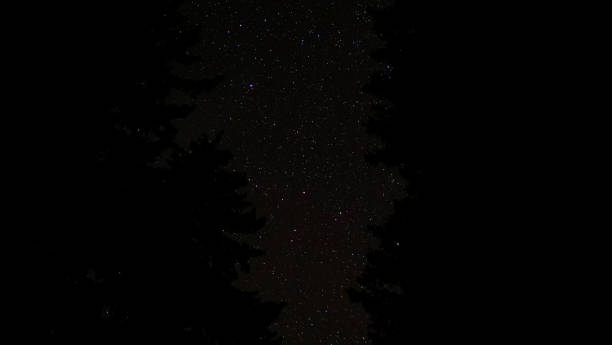 istock POV. Night sky over pine trees, bright starry sky and the Milky way. 1180139863