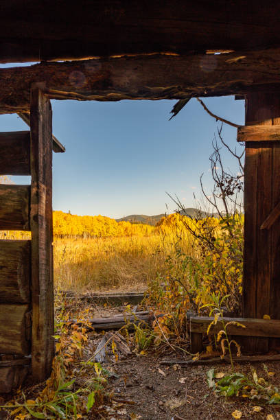 istock Fall Colors In Golden Gate State Park 1180142320