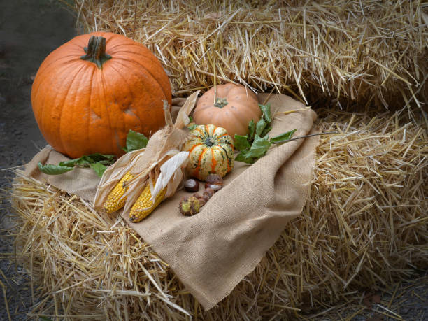 istock Harvest Thanks decoration on straw 1180144679