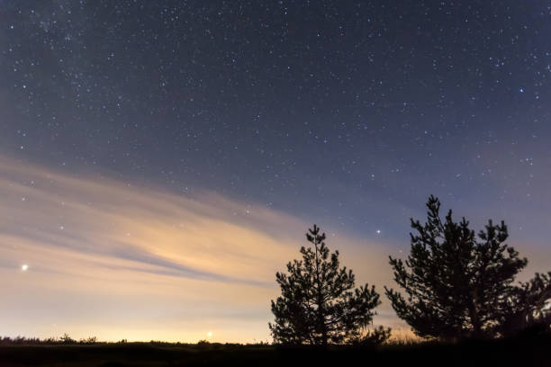 istock night outdoor scene, starry sky above the pine forest silhouette 1180147103