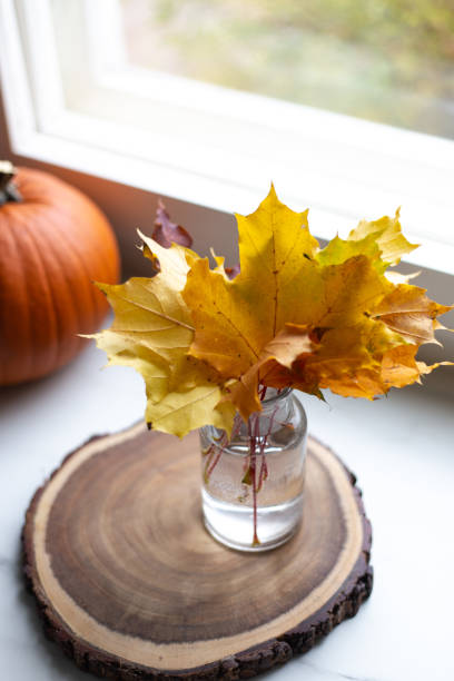 istock colorful bouquet made of maple leaves 1180147342