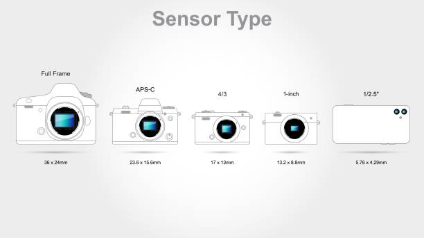 デジタルカメラセンサーフォーマット(スケール1:1) - sensor ccd electronics industry cmos点のイラスト素材／クリップアート素材／マンガ素材／アイコン素材