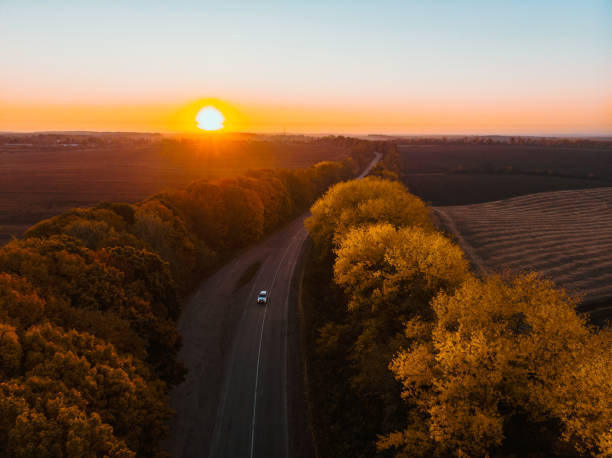 istock aerial view of autumn highway in forest copy space 1180151649