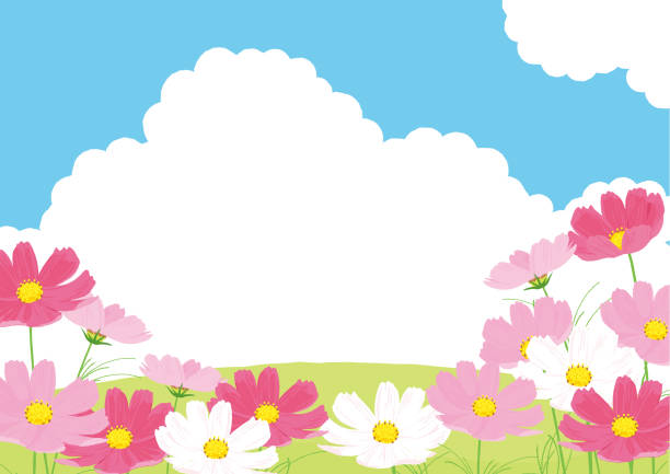 rosa kosmos und blauer himmel vektor illustration hintergrund - schmuckkörbchen stock-grafiken, -clipart, -cartoons und -symbole