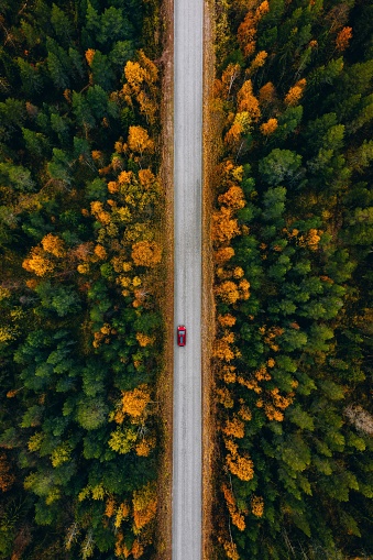 Aerial view of rural road with red car in yellow and orange autumn forest in rural Finland.